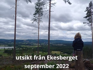 Utsikt från Eksesberget